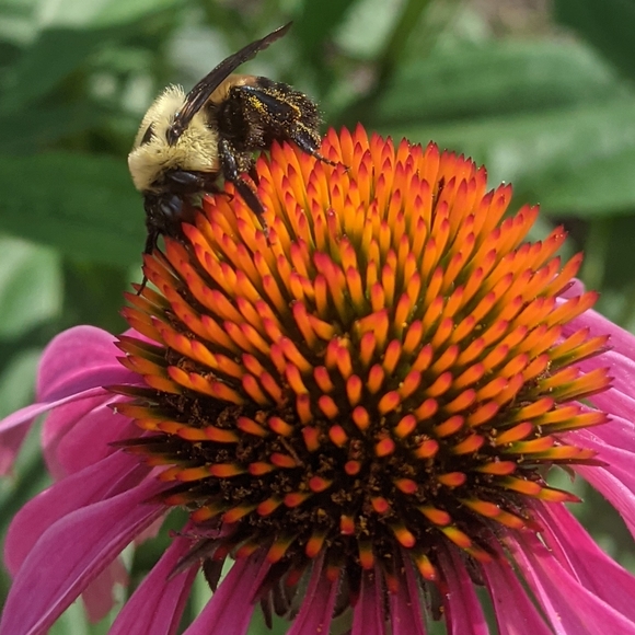 ♥️ - Picture 10 of 14